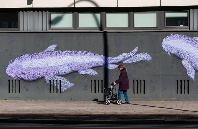 Urban Walking